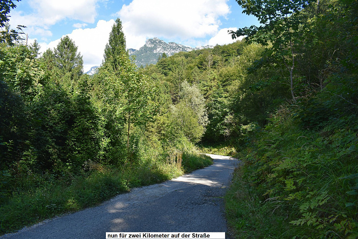 Klicke auf die Grafik für eine vergrößerte Ansicht  Name: DSC_0043.jpg Ansichten: 0 Größe: 1,10 MB ID: 3355682