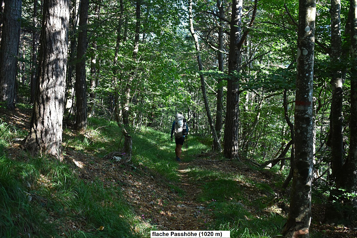 Klicke auf die Grafik für eine vergrößerte Ansicht  Name: DSC_0047.jpg Ansichten: 0 Größe: 1,22 MB ID: 3355685