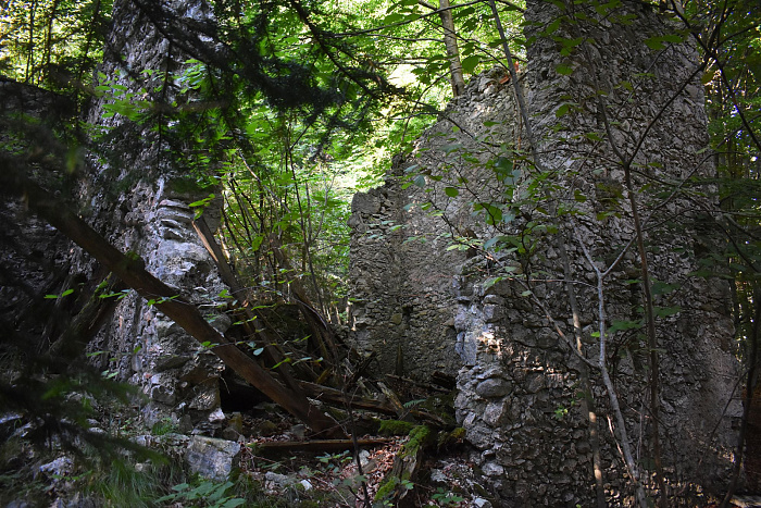 Klicke auf die Grafik für eine vergrößerte Ansicht  Name: DSC_0052.jpg Ansichten: 0 Größe: 1,09 MB ID: 3355686