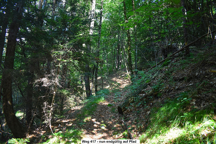 Klicke auf die Grafik für eine vergrößerte Ansicht  Name: DSC_0045.jpg Ansichten: 0 Größe: 1,20 MB ID: 3355687