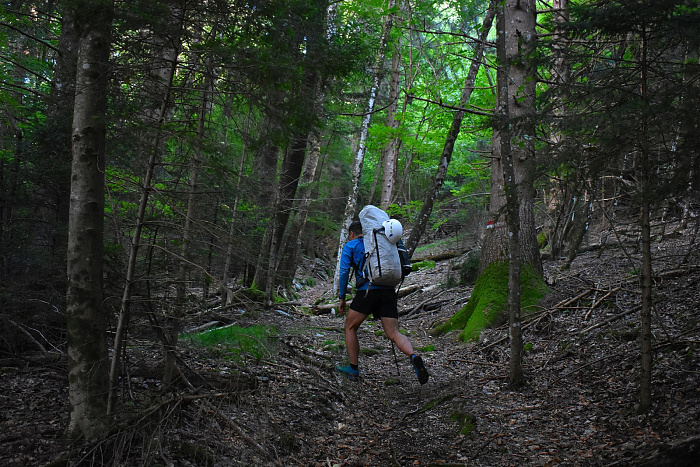 Klicke auf die Grafik für eine vergrößerte Ansicht  Name: DSC_0046.jpg Ansichten: 0 Größe: 1,01 MB ID: 3355689