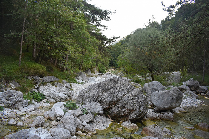 Klicke auf die Grafik für eine vergrößerte Ansicht  Name: DSC_0060.jpg Ansichten: 0 Größe: 1,05 MB ID: 3355690