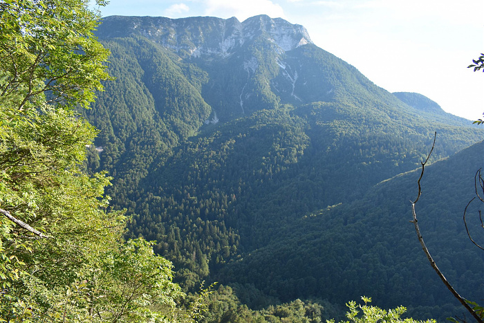 Klicke auf die Grafik für eine vergrößerte Ansicht  Name: DSC_0049.jpg Ansichten: 0 Größe: 948,4 KB ID: 3355692