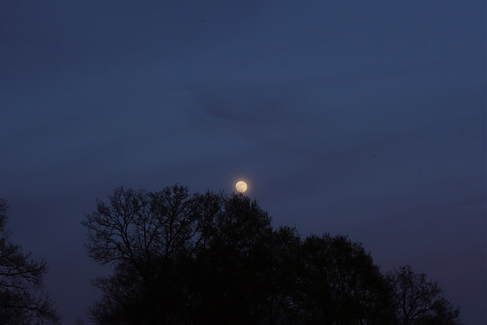 Klicke auf die Grafik für eine vergrößerte Ansicht  Name: aufgehender fast - Vollmond.jpg Ansichten: 17 Größe: 326,8 KB ID: 3355751