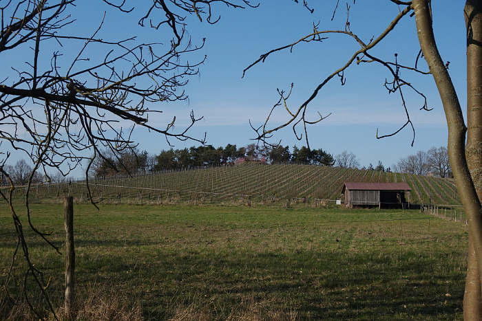 Klicke auf die Grafik für eine vergrößerte Ansicht  Name: nach diesem Weinberg wars dann vorbei mit der Straße.jpg Ansichten: 0 Größe: 912,8 KB ID: 3355730