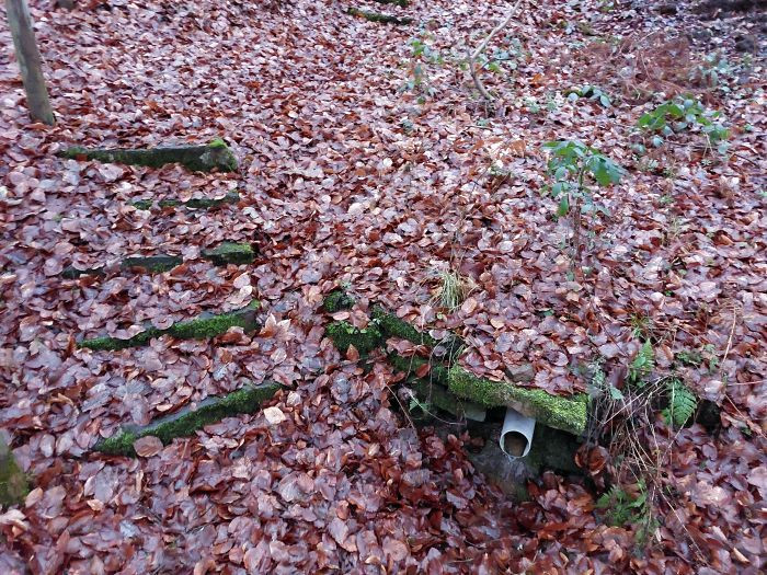 Klicke auf die Grafik für eine vergrößerte Ansicht

Name: 20251207_161516a.jpg
Ansichten: 0
Größe: 246,5 KB
ID: 3355710