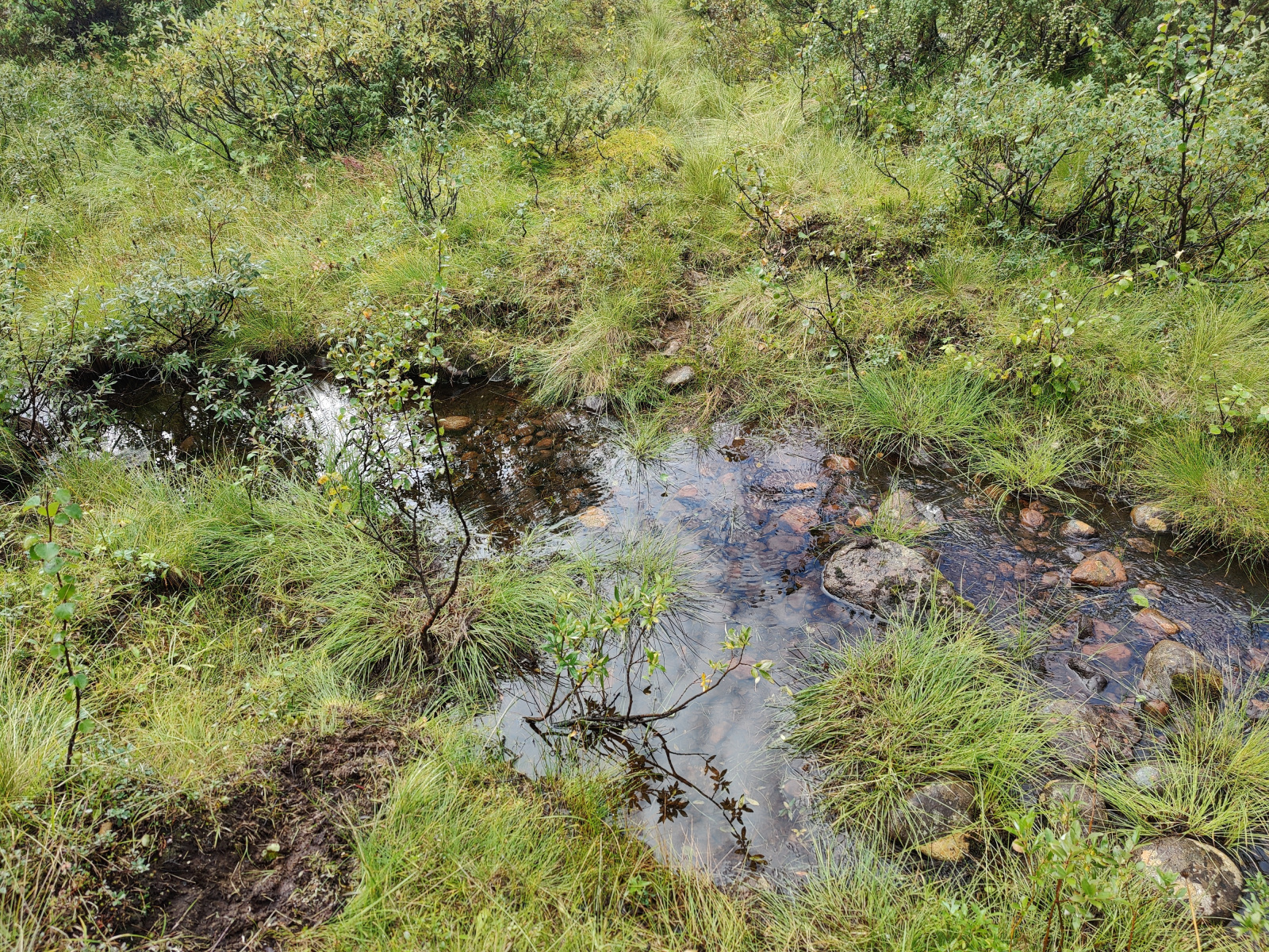 Klicke auf die Grafik für eine vergrößerte Ansicht  Name: IMG_20250823_130842.jpg Ansichten: 0 Größe: 1,81 MB ID: 3355779