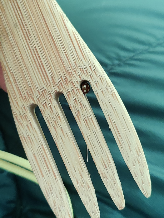 Klicke auf die Grafik für eine vergrößerte Ansicht  Name: IMG_20250823_101012.jpg Ansichten: 0 Größe: 641,8 KB ID: 3355783