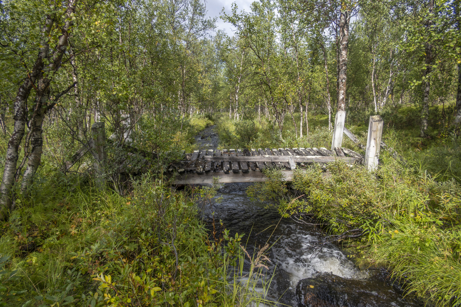 Klicke auf die Grafik für eine vergrößerte Ansicht  Name: Sjaunja_2025_072.jpg Ansichten: 0 Größe: 1,55 MB ID: 3355794