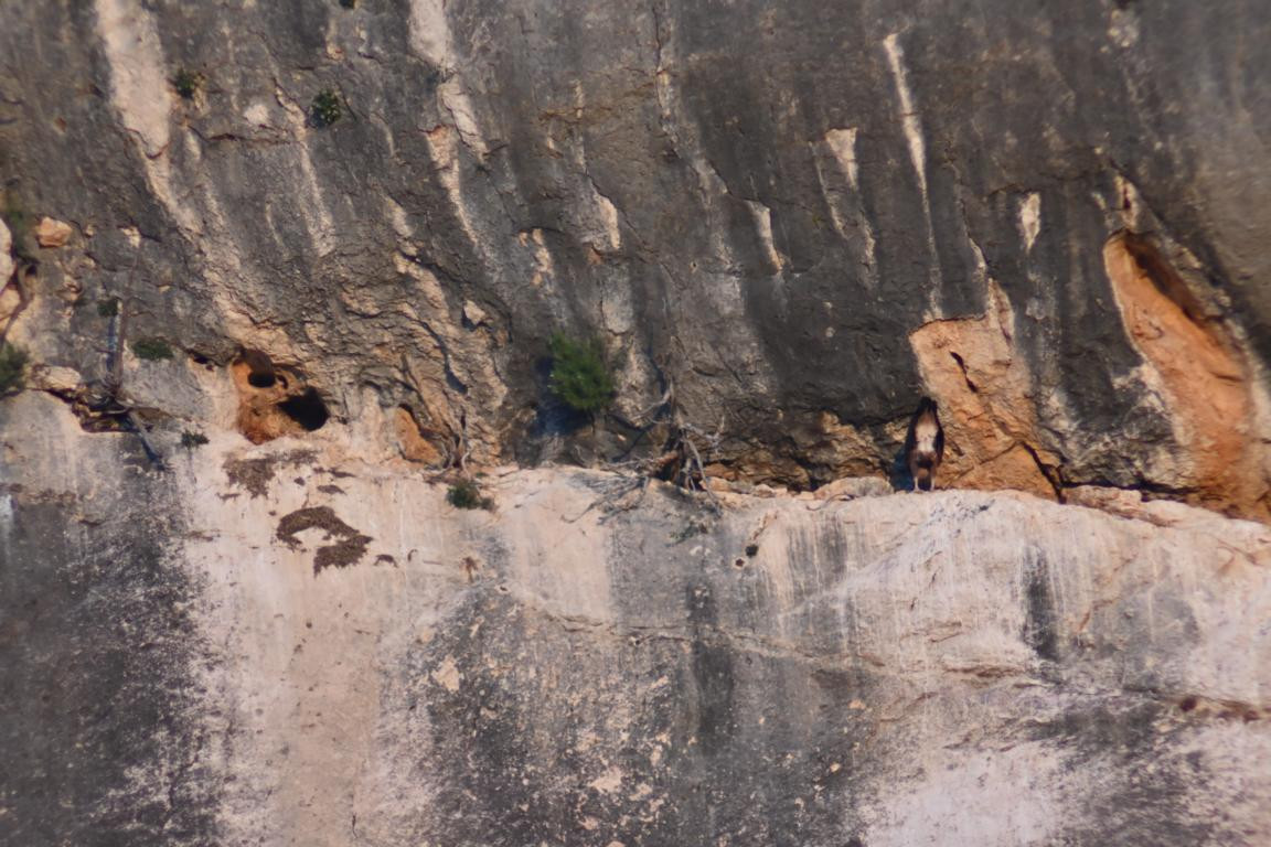 Klicke auf die Grafik für eine vergrößerte Ansicht

Name: DSC_5445.jpg
Ansichten: 62
Größe: 234,3 KB
ID: 3355808