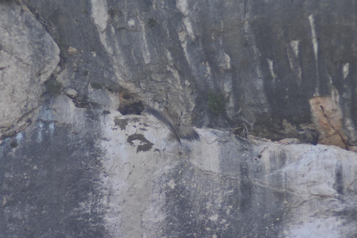 Klicke auf die Grafik für eine vergrößerte Ansicht

Name: DSC_5469.jpg
Ansichten: 59
Größe: 161,5 KB
ID: 3355809