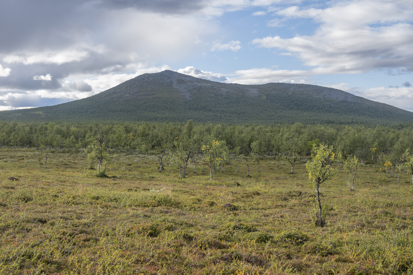 Klicke auf die Grafik für eine vergrößerte Ansicht  Name: Sjaunja_2025_091.jpg Ansichten: 0 Größe: 1,02 MB ID: 3355801