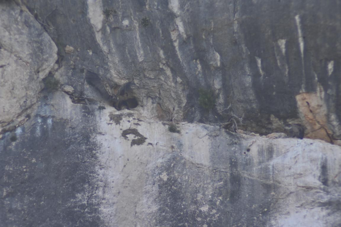 Klicke auf die Grafik für eine vergrößerte Ansicht

Name: DSC_5471.jpg
Ansichten: 59
Größe: 153,5 KB
ID: 3355810