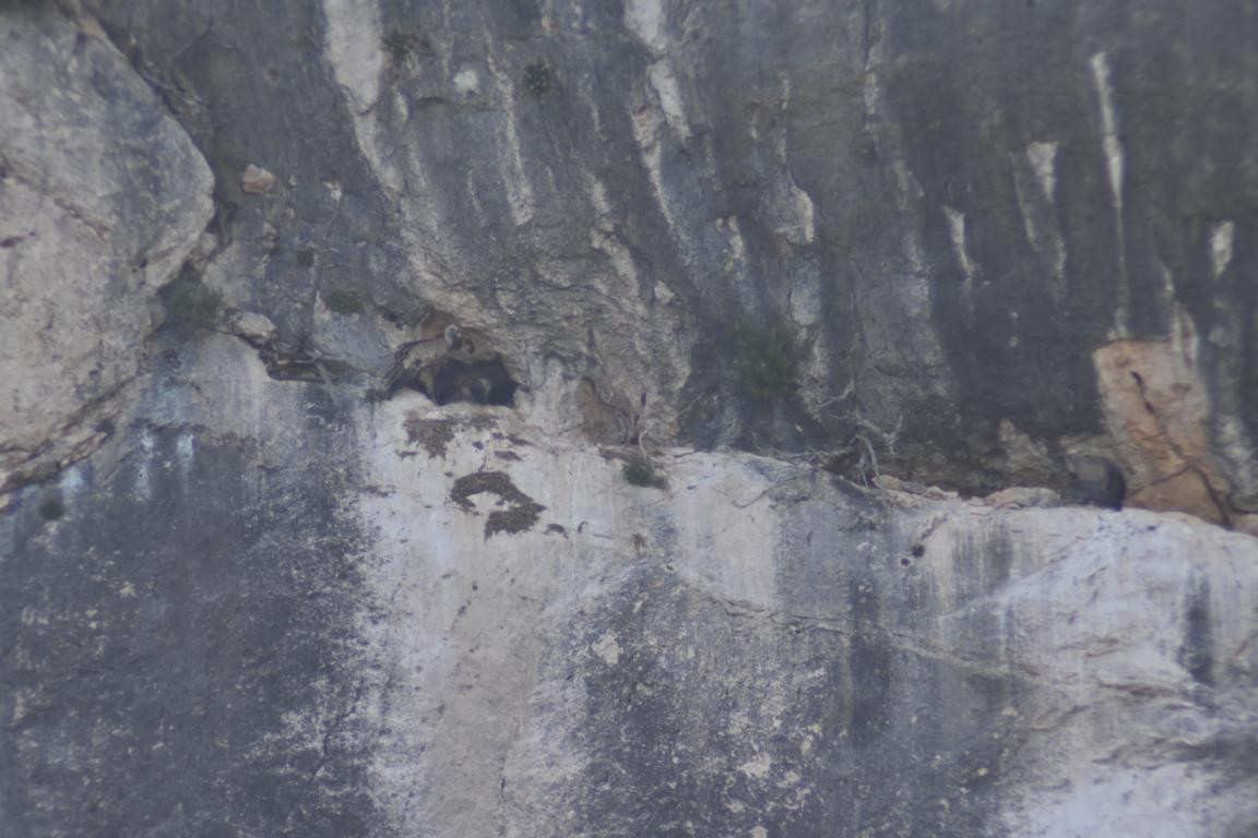 Klicke auf die Grafik für eine vergrößerte Ansicht

Name: DSC_5474.jpg
Ansichten: 58
Größe: 160,8 KB
ID: 3355811