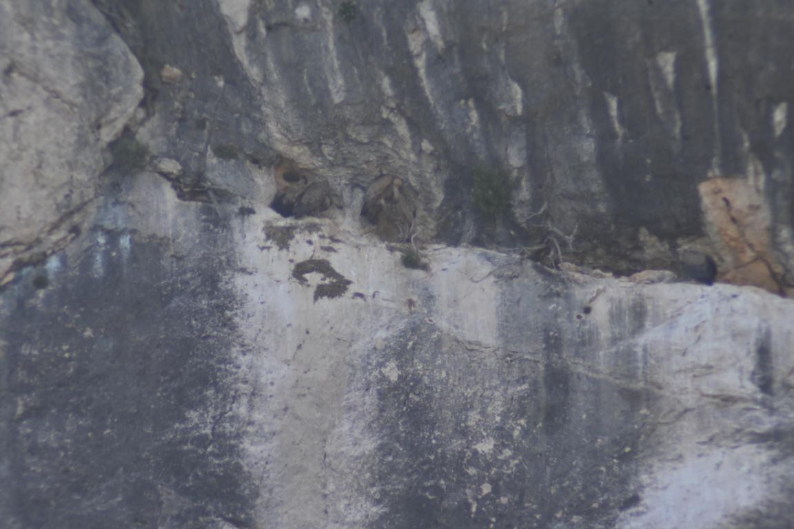 Klicke auf die Grafik für eine vergrößerte Ansicht

Name: DSC_5500.jpg
Ansichten: 58
Größe: 137,0 KB
ID: 3355812