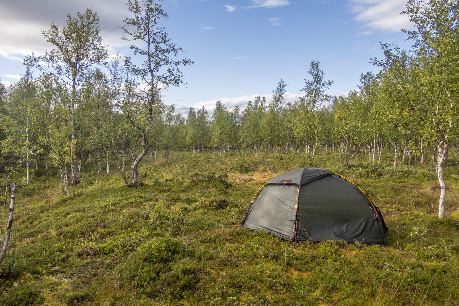 Klicke auf die Grafik für eine vergrößerte Ansicht  Name: Sjaunja_2025_096.jpg Ansichten: 0 Größe: 1,28 MB ID: 3355805