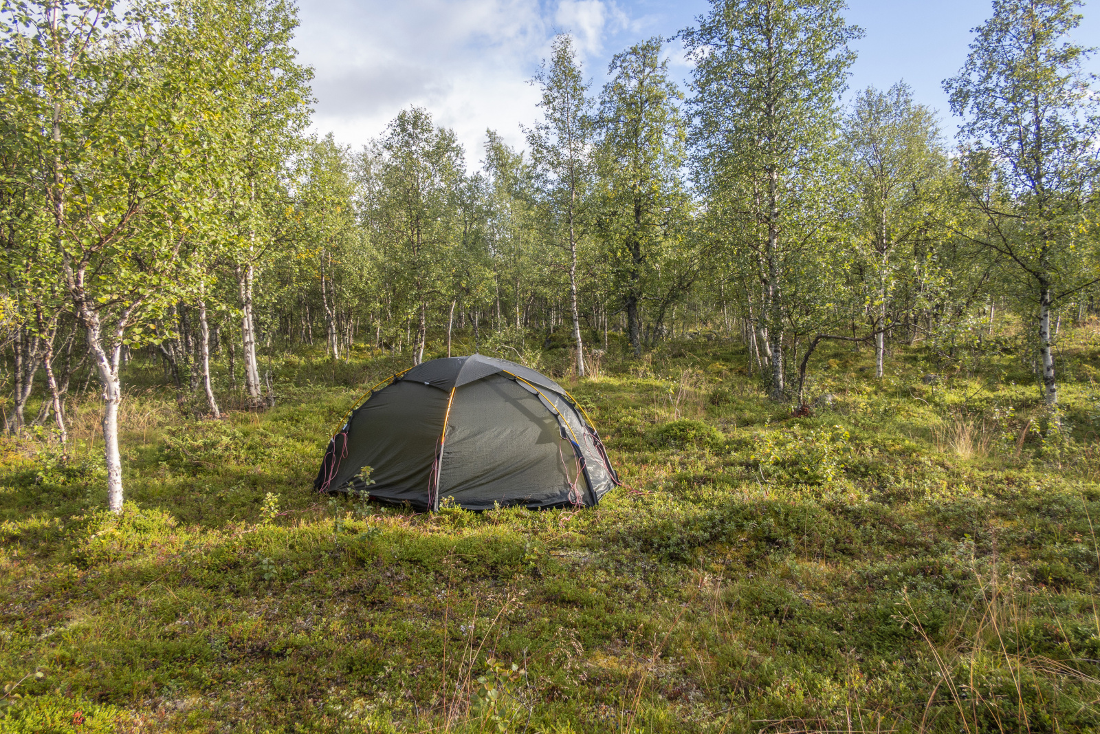 Klicke auf die Grafik für eine vergrößerte Ansicht  Name: Sjaunja_2025_101.jpg Ansichten: 0 Größe: 1,60 MB ID: 3355806