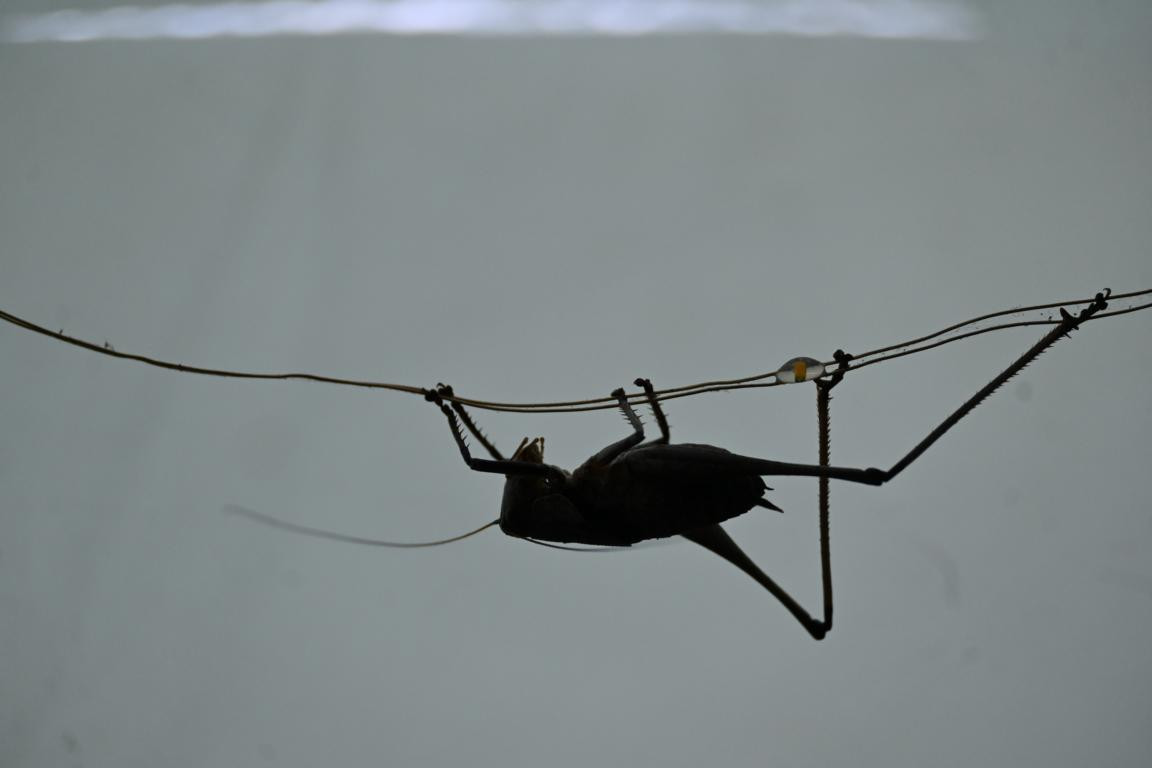 Klicke auf die Grafik für eine vergrößerte Ansicht

Name: DSC_5538.jpg
Ansichten: 57
Größe: 50,6 KB
ID: 3355815