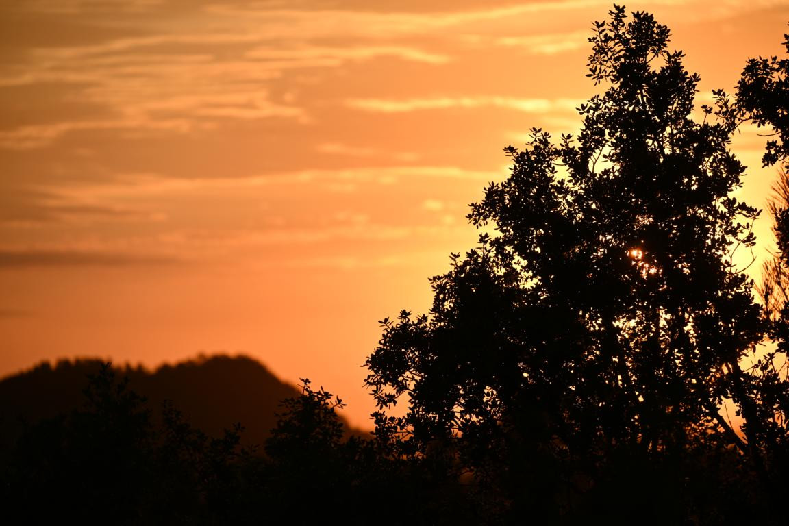 Klicke auf die Grafik für eine vergrößerte Ansicht

Name: DSC_5542.jpg
Ansichten: 59
Größe: 189,5 KB
ID: 3355816