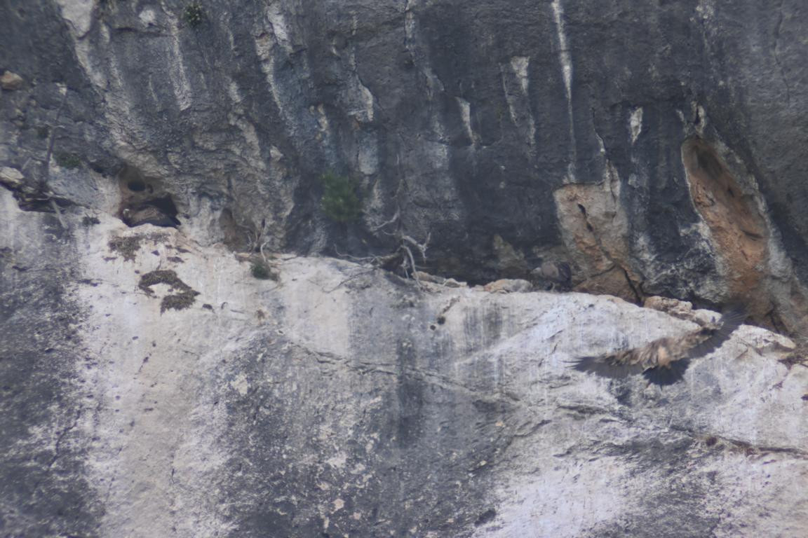 Klicke auf die Grafik für eine vergrößerte Ansicht

Name: DSC_5559.jpg
Ansichten: 58
Größe: 210,2 KB
ID: 3355817