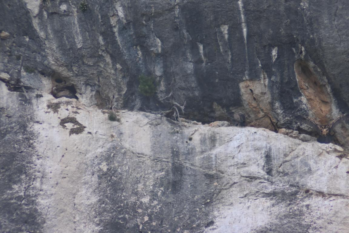 Klicke auf die Grafik für eine vergrößerte Ansicht

Name: DSC_5562.jpg
Ansichten: 58
Größe: 208,8 KB
ID: 3355818