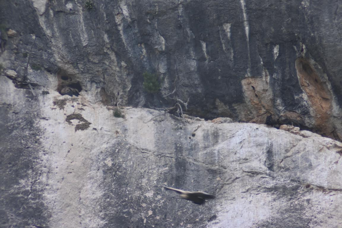 Klicke auf die Grafik für eine vergrößerte Ansicht

Name: DSC_5565.jpg
Ansichten: 58
Größe: 210,6 KB
ID: 3355819