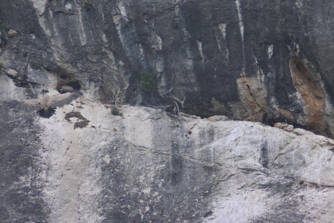 Klicke auf die Grafik für eine vergrößerte Ansicht

Name: DSC_5582.jpg
Ansichten: 58
Größe: 210,8 KB
ID: 3355820