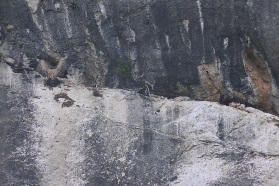 Klicke auf die Grafik für eine vergrößerte Ansicht

Name: DSC_5583.jpg
Ansichten: 58
Größe: 212,6 KB
ID: 3355821