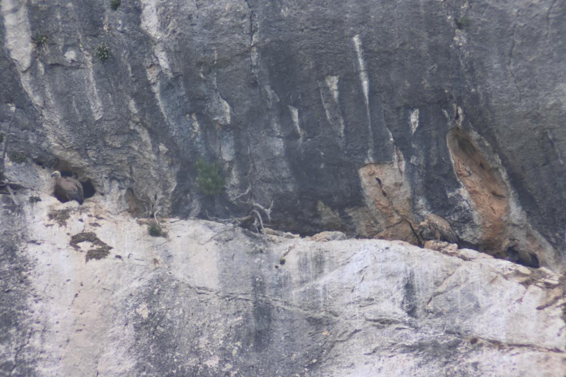 Klicke auf die Grafik für eine vergrößerte Ansicht

Name: DSC_5592.jpg
Ansichten: 58
Größe: 213,5 KB
ID: 3355822