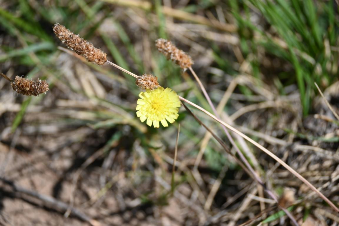 Klicke auf die Grafik für eine vergrößerte Ansicht

Name: DSC_5673.jpg
Ansichten: 58
Größe: 166,0 KB
ID: 3355824