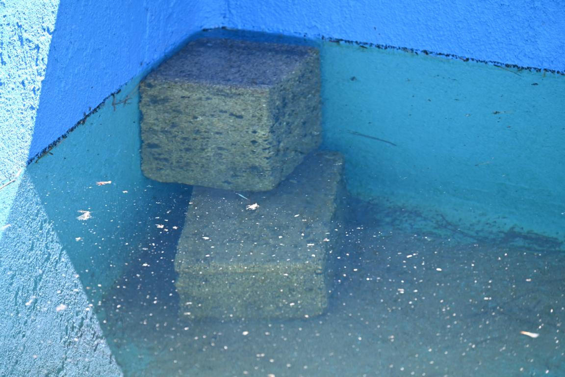 Klicke auf die Grafik für eine vergrößerte Ansicht

Name: DSC_5822.jpg
Ansichten: 58
Größe: 210,8 KB
ID: 3355826