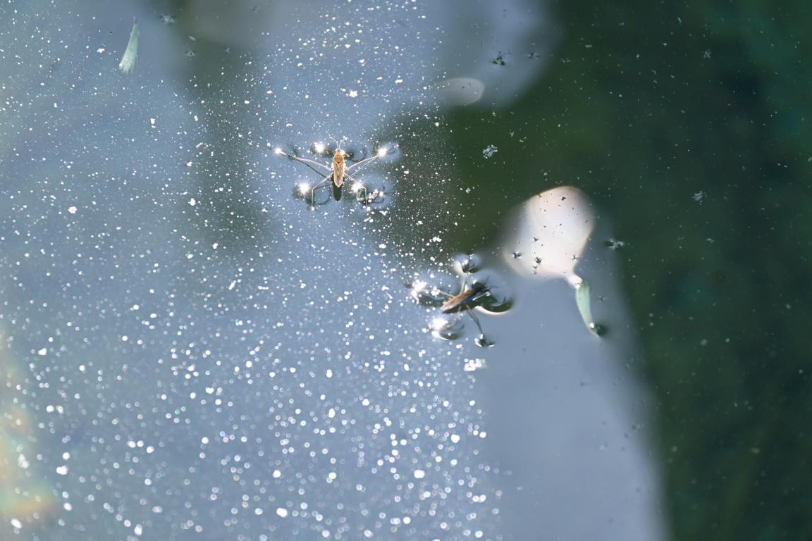 Klicke auf die Grafik für eine vergrößerte Ansicht

Name: DSC_5774.jpg
Ansichten: 59
Größe: 158,6 KB
ID: 3355828