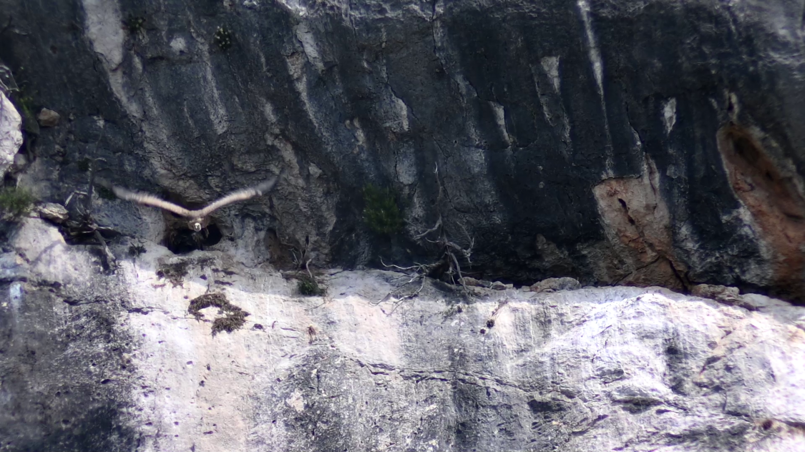 Klicke auf die Grafik für eine vergrößerte Ansicht  Name: vlcsnap-2025-10-12-20h38m31s659.png Ansichten: 0 Größe: 2,04 MB ID: 3355911