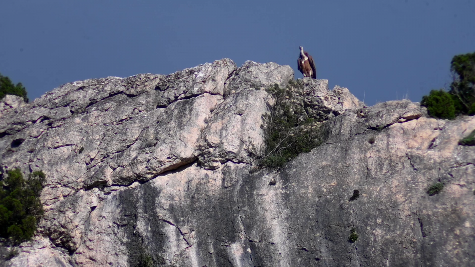 Klicke auf die Grafik für eine vergrößerte Ansicht  Name: vlcsnap-2025-11-10-11h01m56s903.png Ansichten: 0 Größe: 2,11 MB ID: 3355912