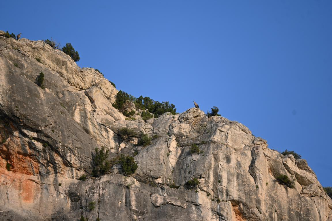 Klicke auf die Grafik für eine vergrößerte Ansicht  Name: DSC_6241.jpg Ansichten: 0 Größe: 206,3 KB ID: 3355916