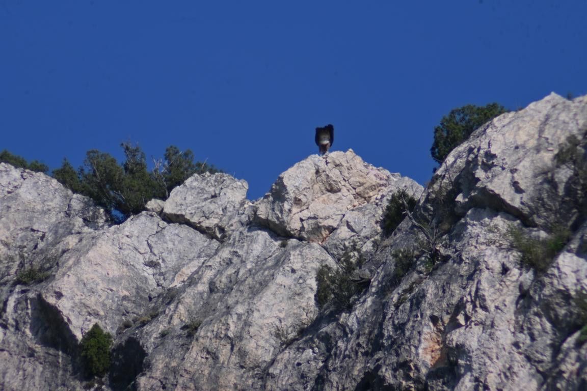 Klicke auf die Grafik für eine vergrößerte Ansicht  Name: DSC_6324.jpg Ansichten: 0 Größe: 189,4 KB ID: 3355917