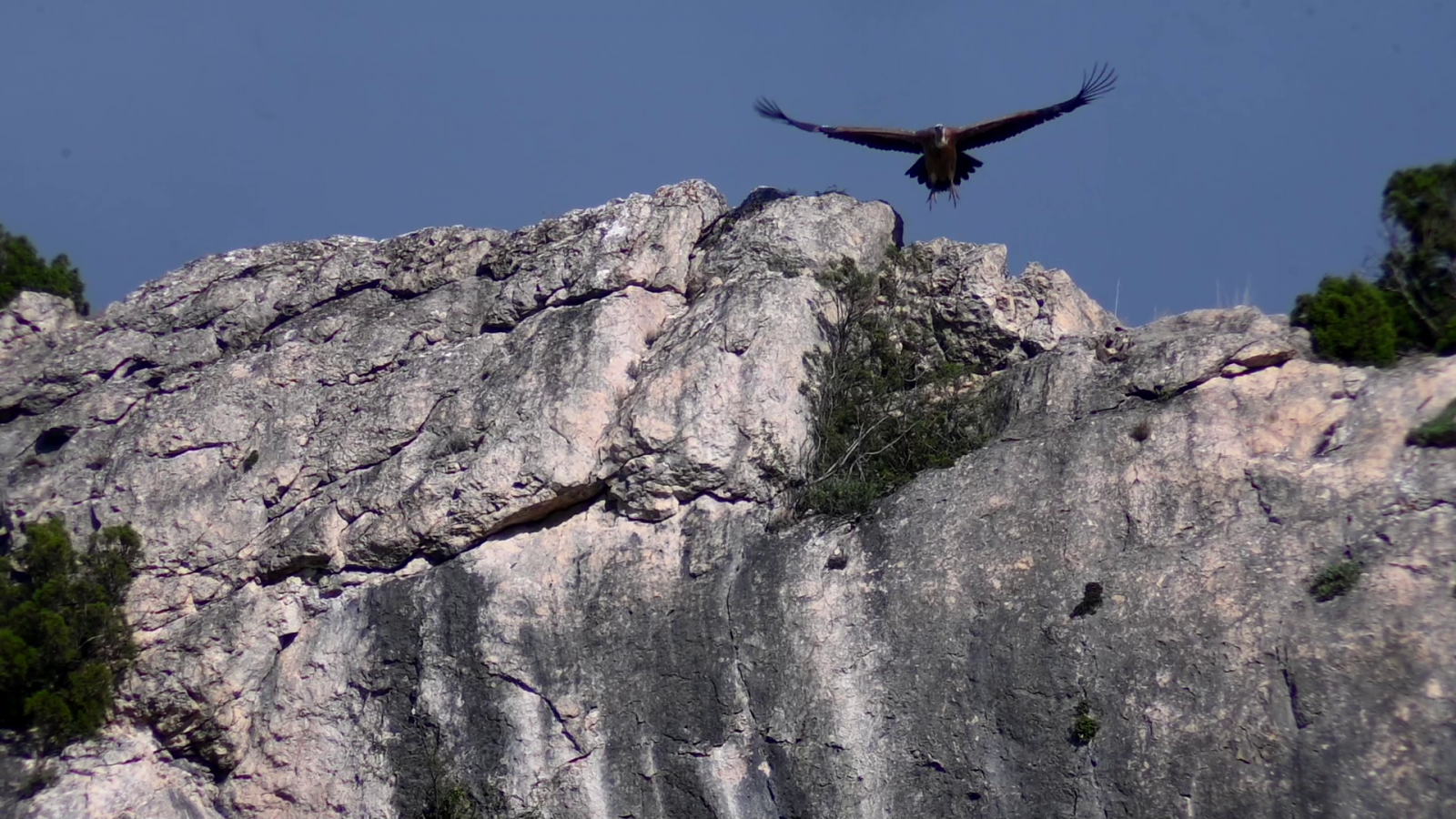 Klicke auf die Grafik für eine vergrößerte Ansicht  Name: vlcsnap-2025-10-12-20h42m06s915.png Ansichten: 0 Größe: 2,06 MB ID: 3355918