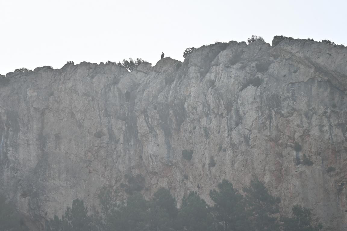 Klicke auf die Grafik für eine vergrößerte Ansicht  Name: DSC_6267.jpg Ansichten: 0 Größe: 125,3 KB ID: 3355919