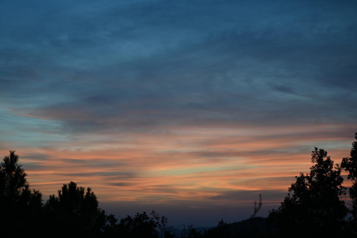 Klicke auf die Grafik für eine vergrößerte Ansicht  Name: DSC_6301.jpg Ansichten: 0 Größe: 82,9 KB ID: 3355921