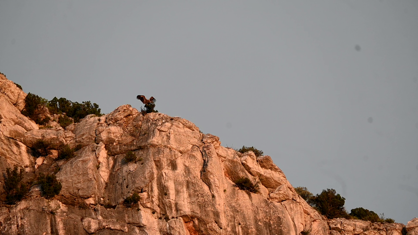 Klicke auf die Grafik für eine vergrößerte Ansicht  Name: vlcsnap-2025-11-10-11h11m59s842.png Ansichten: 0 Größe: 1,75 MB ID: 3355923