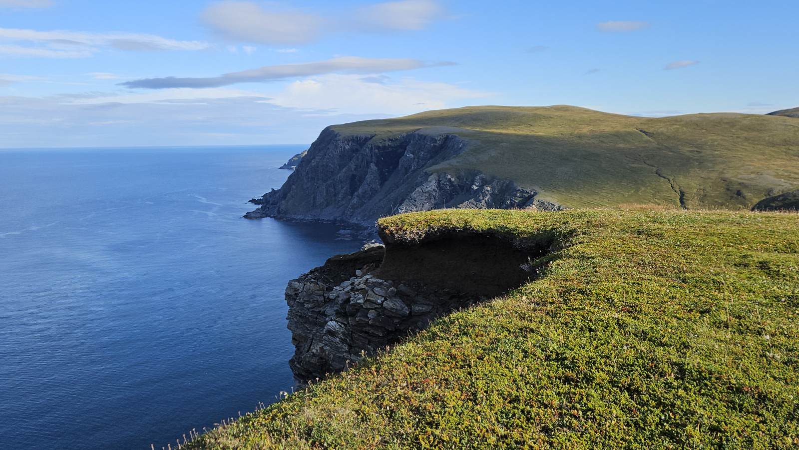 Klicke auf die Grafik für eine vergrößerte Ansicht

Name: 20250904_091440 Klippe mit Grasvordergrund.jpg
Ansichten: 15
Größe: 822,4 KB
ID: 3355986