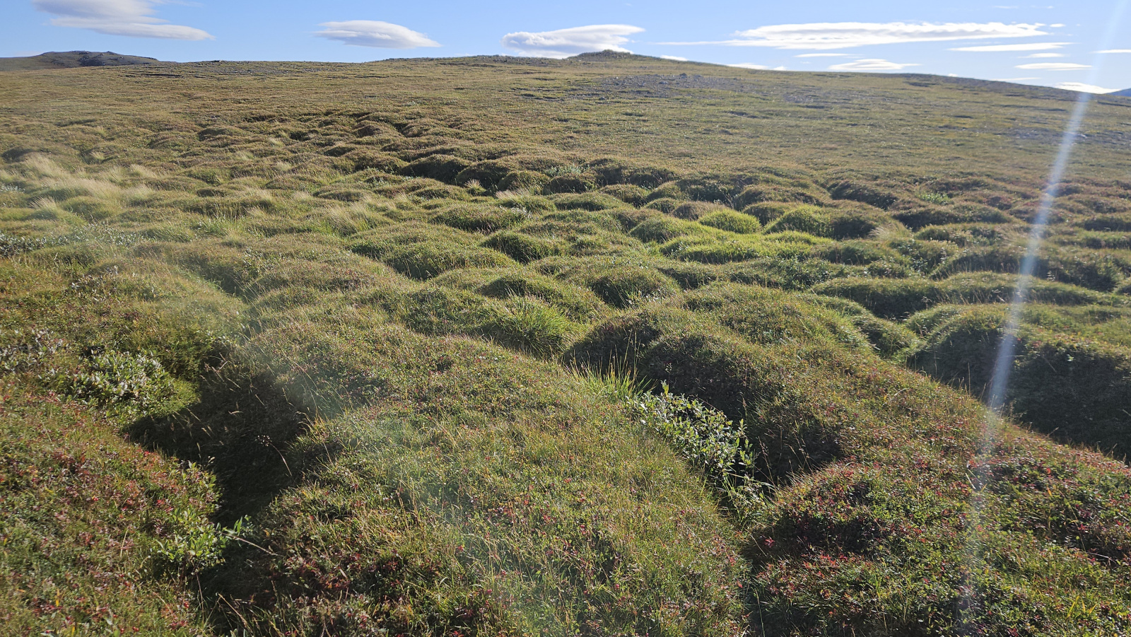 Klicke auf die Grafik für eine vergrößerte Ansicht

Name: 20250904_095347 Knubbel.jpg
Ansichten: 15
Größe: 1,13 MB
ID: 3355989