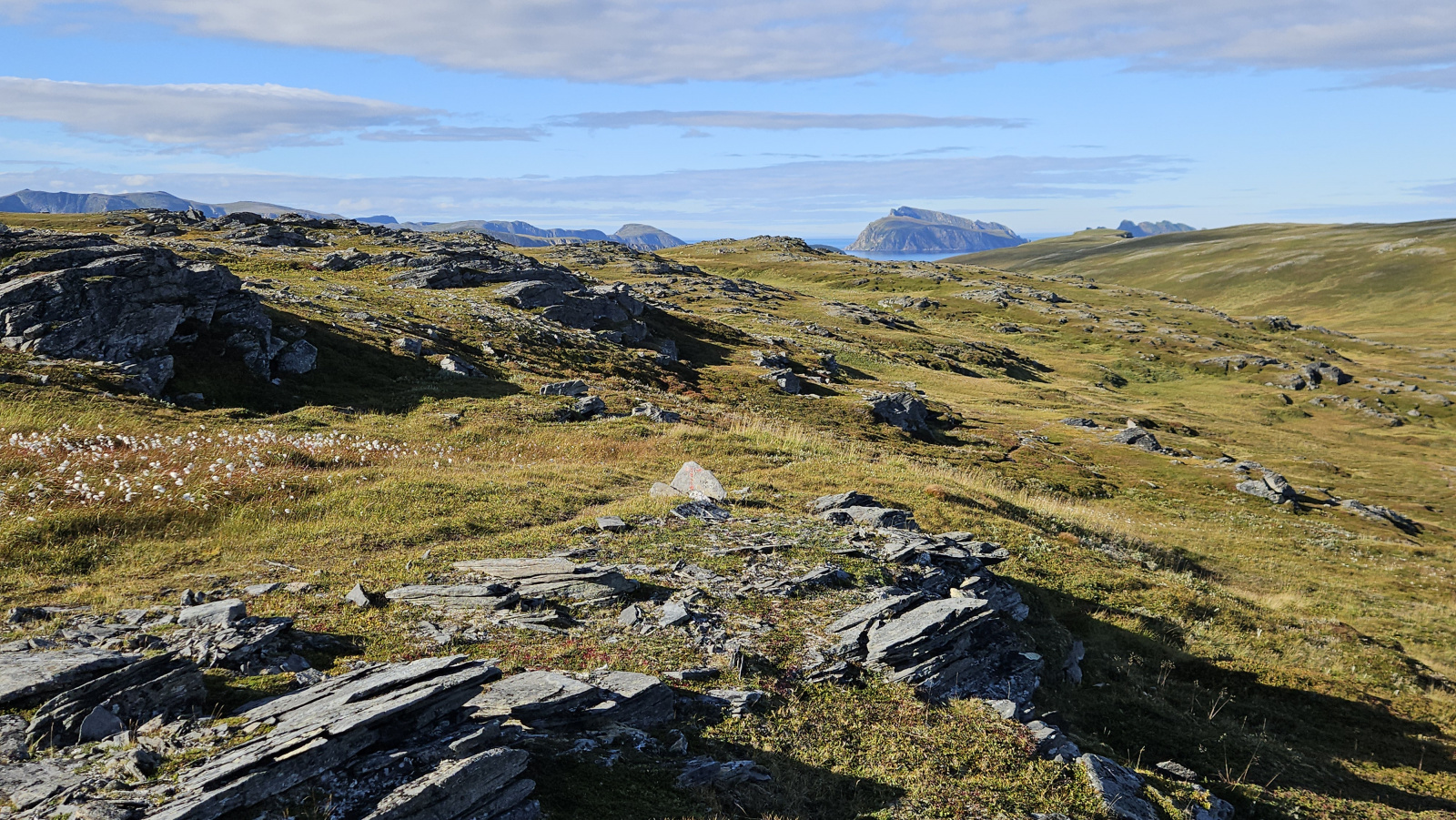 Klicke auf die Grafik für eine vergrößerte Ansicht

Name: 20250904_110053 Felsen Schatten Wiese.jpg
Ansichten: 15
Größe: 979,3 KB
ID: 3355991