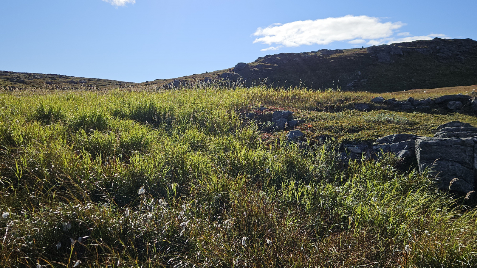 Klicke auf die Grafik für eine vergrößerte Ansicht

Name: 20250904_105822 Gras sonnendurchschienen.jpg
Ansichten: 14
Größe: 1,05 MB
ID: 3355992