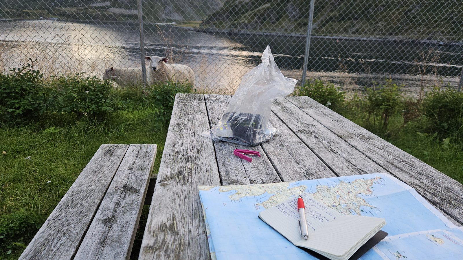 Klicke auf die Grafik für eine vergrößerte Ansicht

Name: 20250904_193854 Schafe hinter Zaun.jpg
Ansichten: 15
Größe: 936,2 KB
ID: 3356012