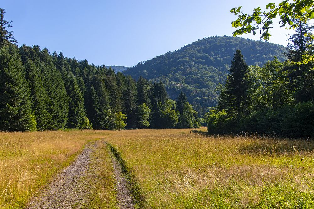 Klicke auf die Grafik für eine vergrößerte Ansicht  Name: 05 Vogesentalwege hinter Lepuix.jpg Ansichten: 17 Größe: 330,6 KB ID: 3356114