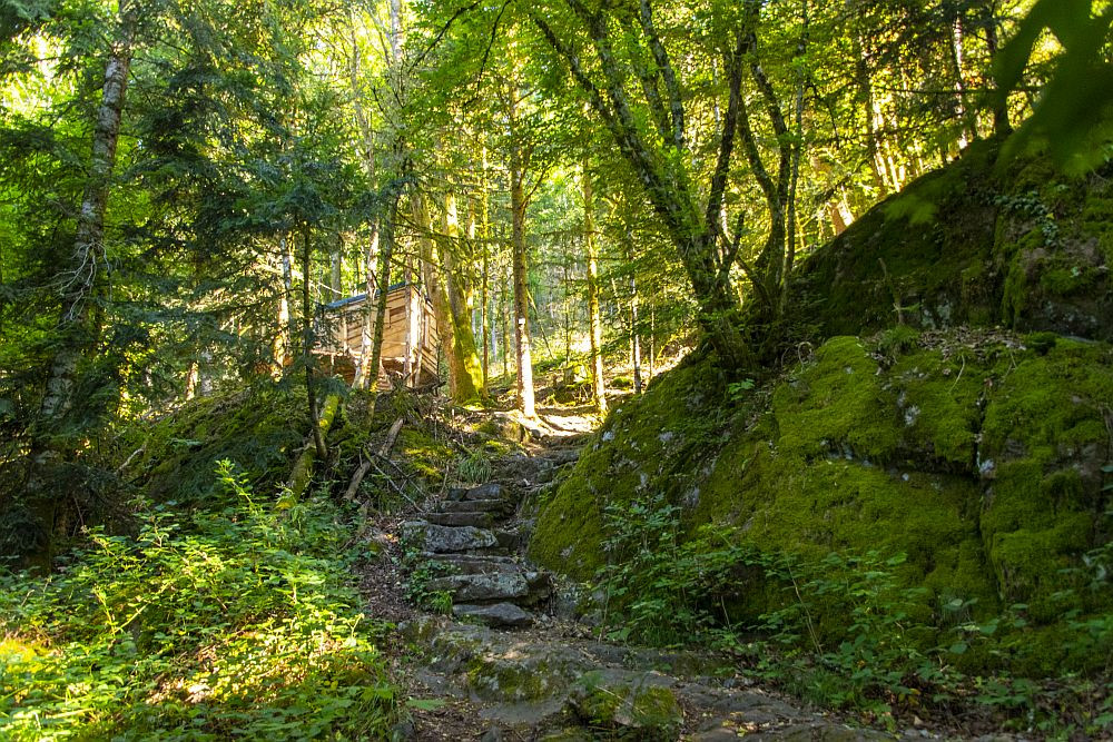 Klicke auf die Grafik für eine vergrößerte Ansicht  Name: 06 Erste Aufstigeshöhenmeter hinter Malvaux.jpg Ansichten: 17 Größe: 417,7 KB ID: 3356117