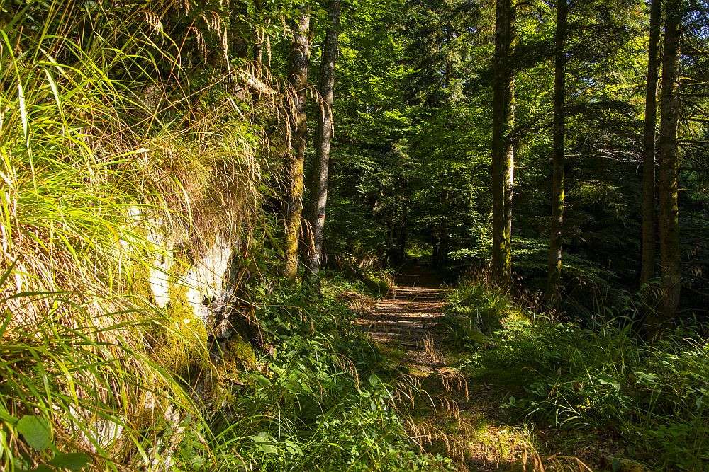 Klicke auf die Grafik für eine vergrößerte Ansicht  Name: 07 Genusswanderwege in den Südvogesen.jpg Ansichten: 17 Größe: 527,7 KB ID: 3356118