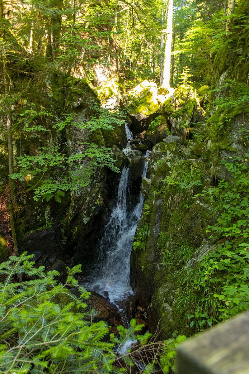 Klicke auf die Grafik für eine vergrößerte Ansicht  Name: 10 Der Sprung der Forelle - Saut de la Truit.jpg Ansichten: 17 Größe: 541,1 KB ID: 3356121