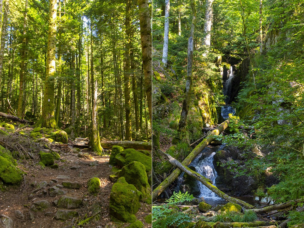 Klicke auf die Grafik für eine vergrößerte Ansicht  Name: 11 Am Aufstiegsweg.jpg Ansichten: 17 Größe: 542,8 KB ID: 3356122